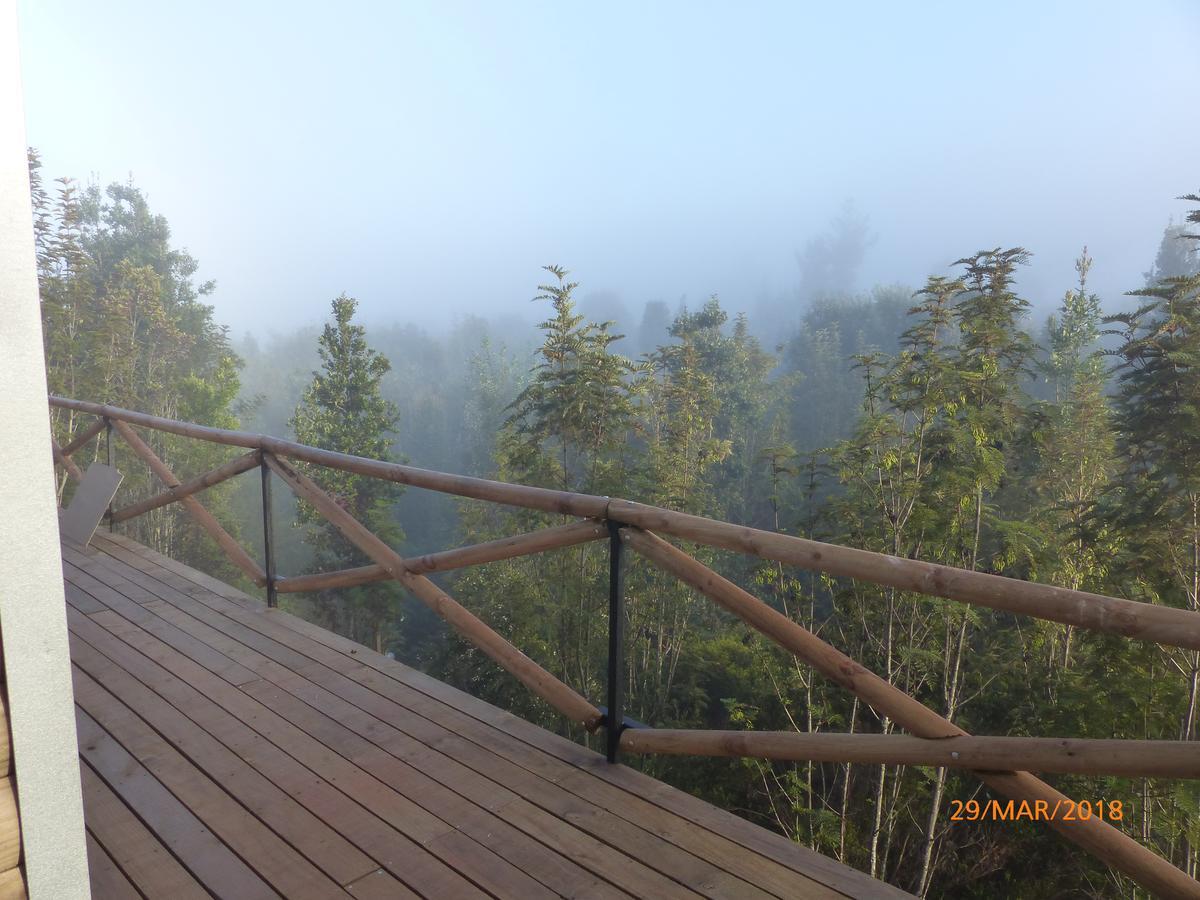 Cabanas Latitud 41 Sur Quillaipe Dış mekan fotoğraf