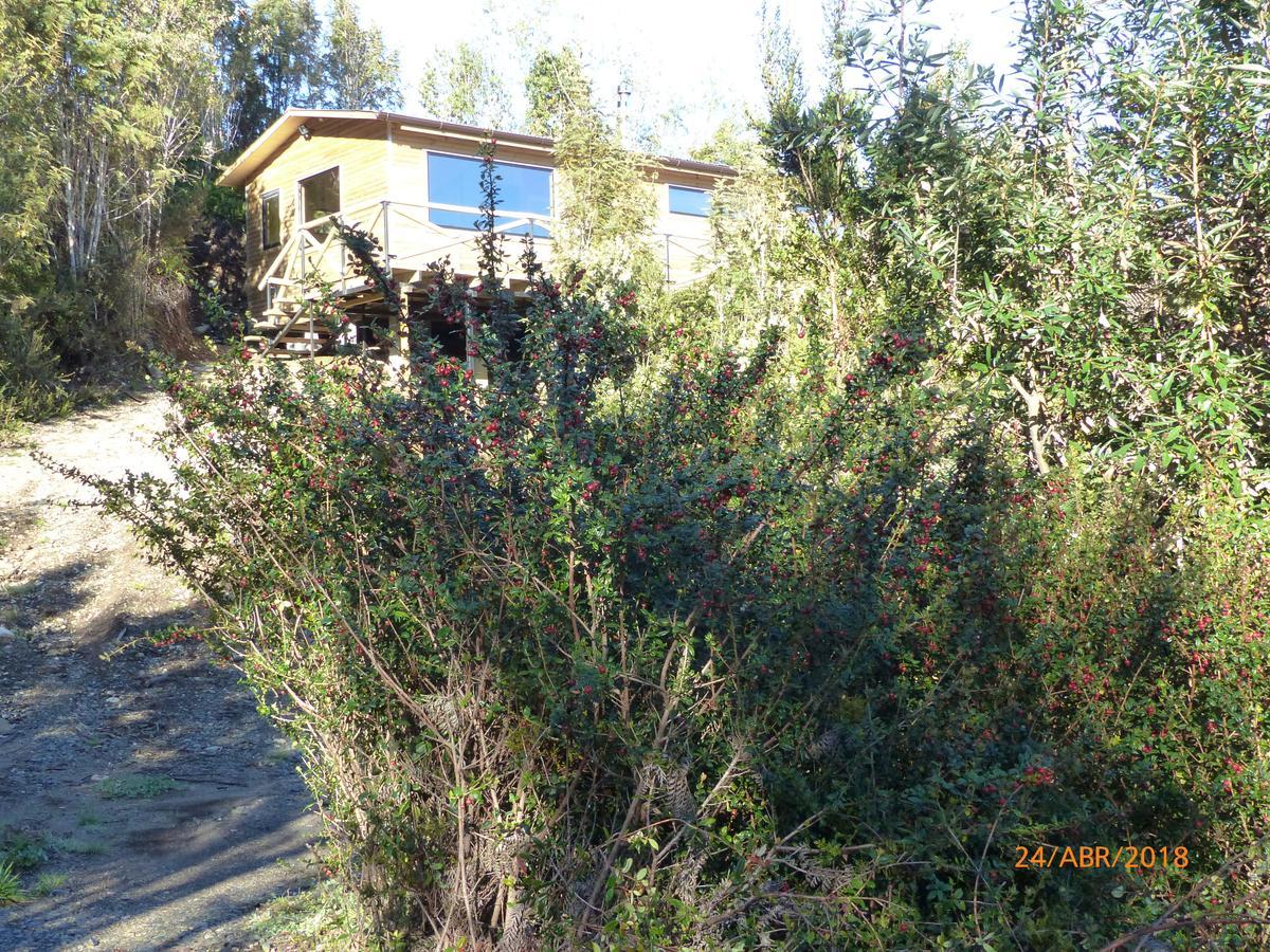 Cabanas Latitud 41 Sur Quillaipe Dış mekan fotoğraf